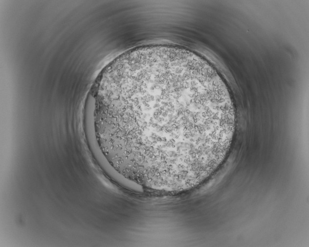 X0000112880858200910021352