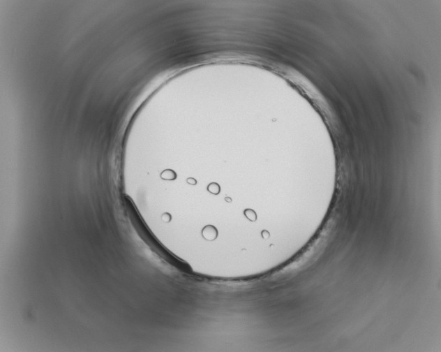 X0000112880860200910021352