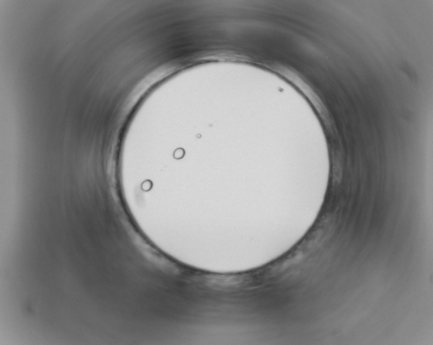 X0000112880861200910021352