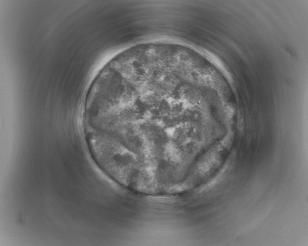 X0000112880863200910021352