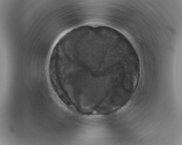 X0000112880864200910021352