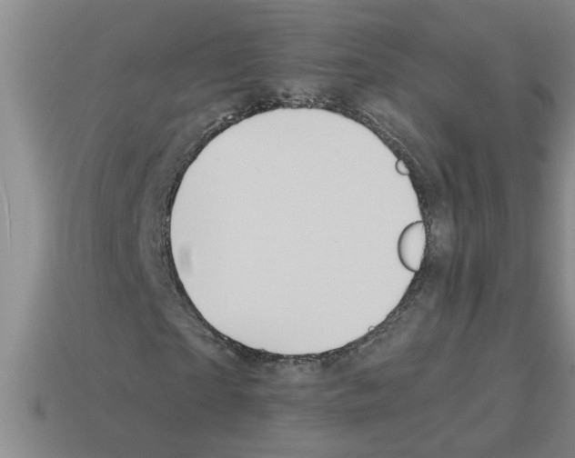 X0000112880865200910021351