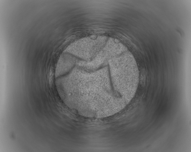 X0000112880866200910021351