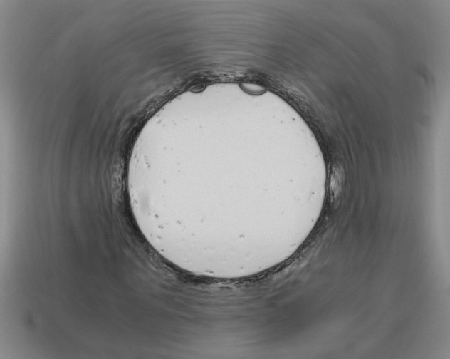 X0000112880867200910021351