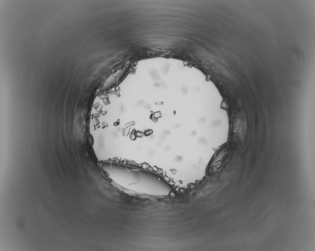 X0000112880868200910021351