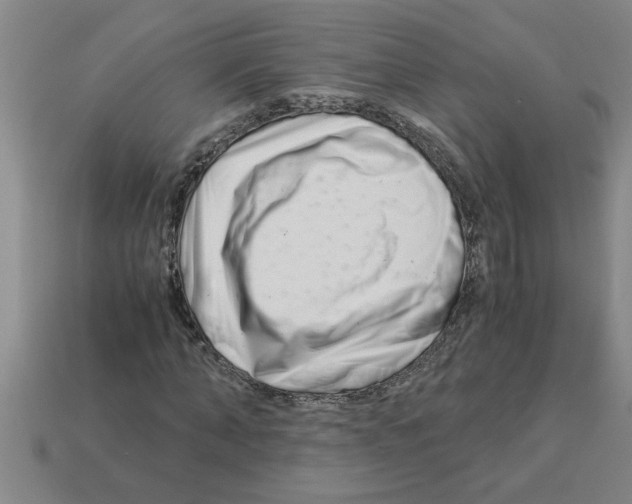 X0000112880870200910021351