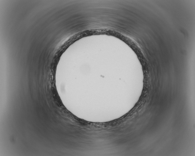 X0000112880871200910021351