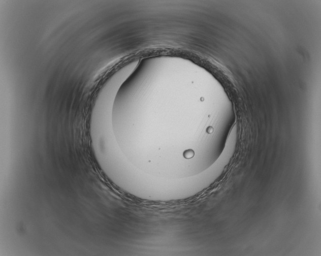 X0000112880872200910021351