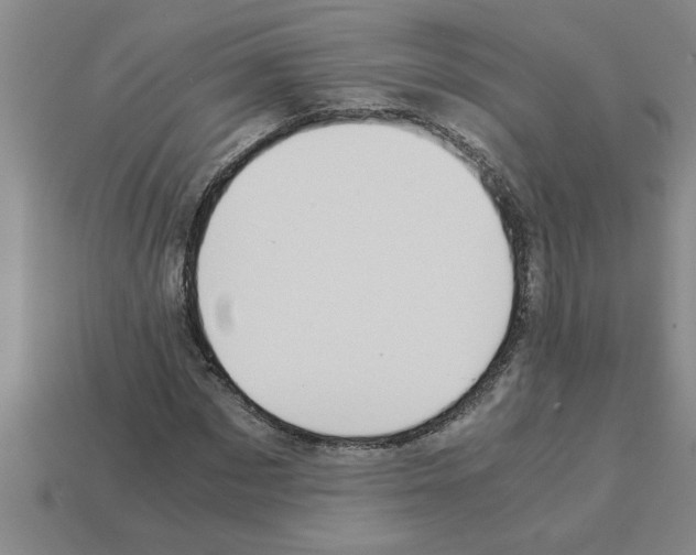 X0000112880873200910021351