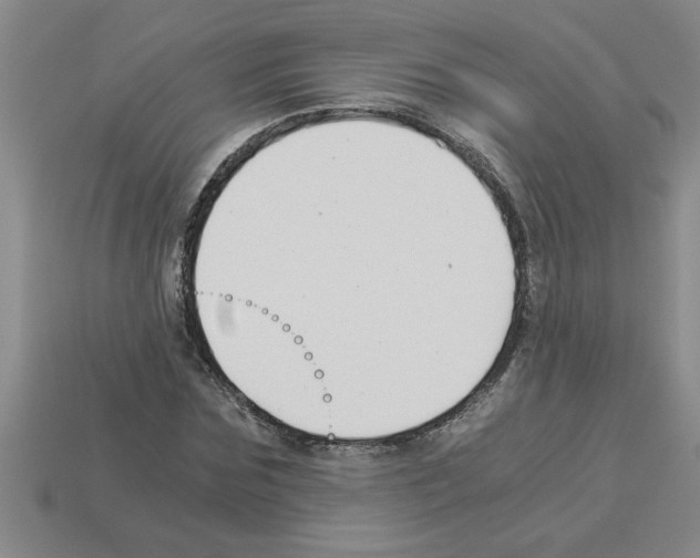 X0000112880875200910021351