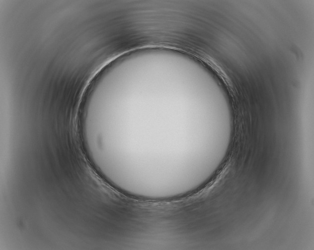 X0000112880876200910021351