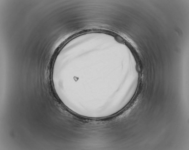 X0000112880877200910021351