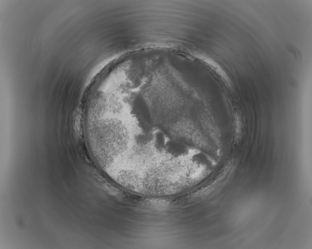 X0000112880878200910021351