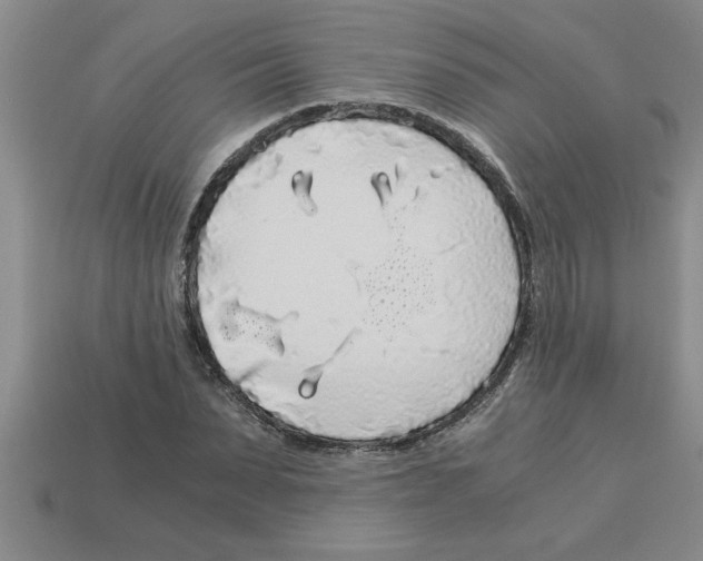 X0000112880879200910021351