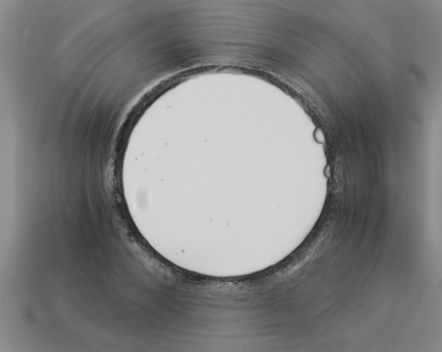 X0000112880880200910021351