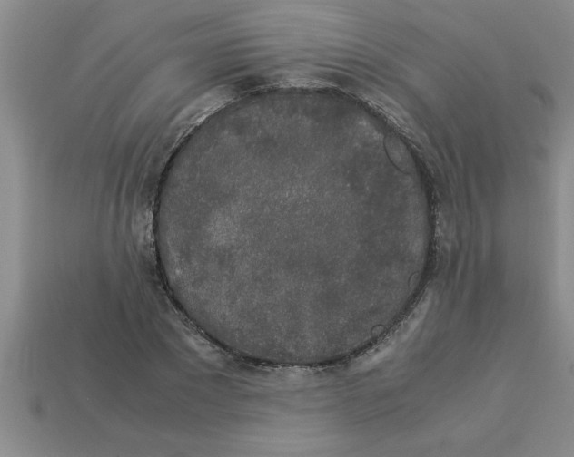 X0000112880881200910021351