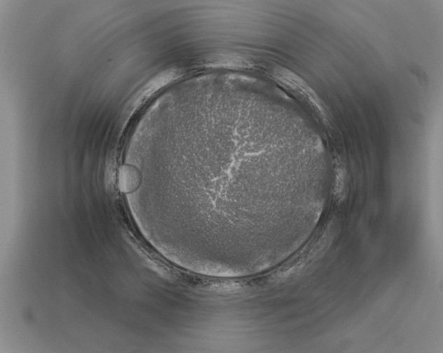 X0000112880882200910021351