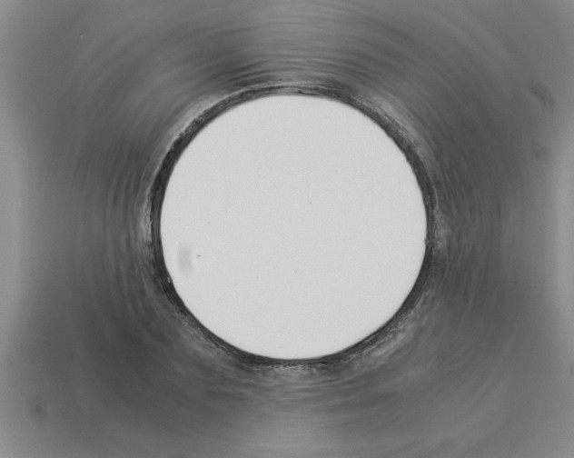 X0000112880883200910021351