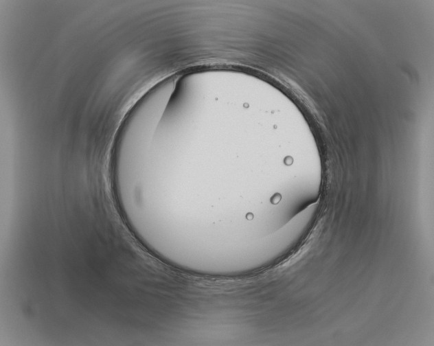 X0000112880885200910021351