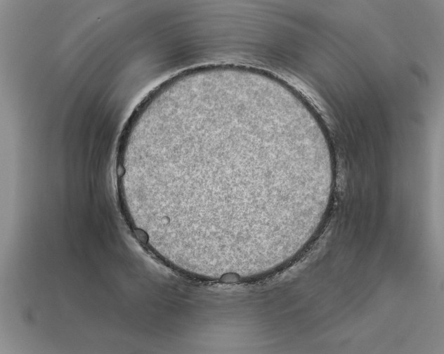 X0000112880888200910021351