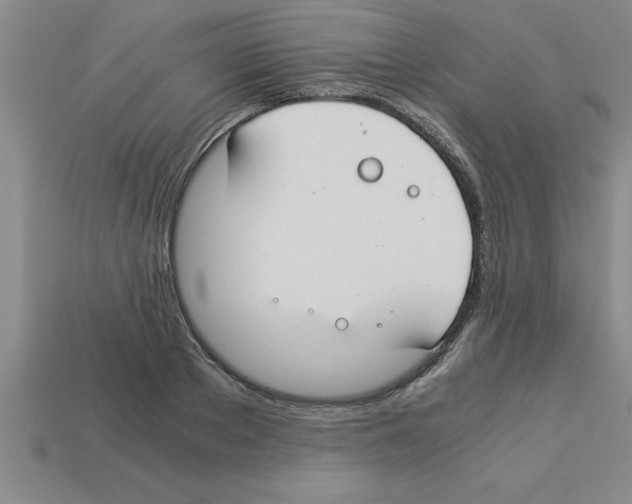 X0000112880889200910021351