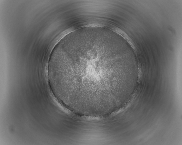 X0000112880890200910021351