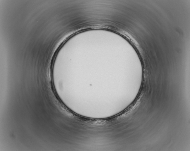 X0000112880891200910021351