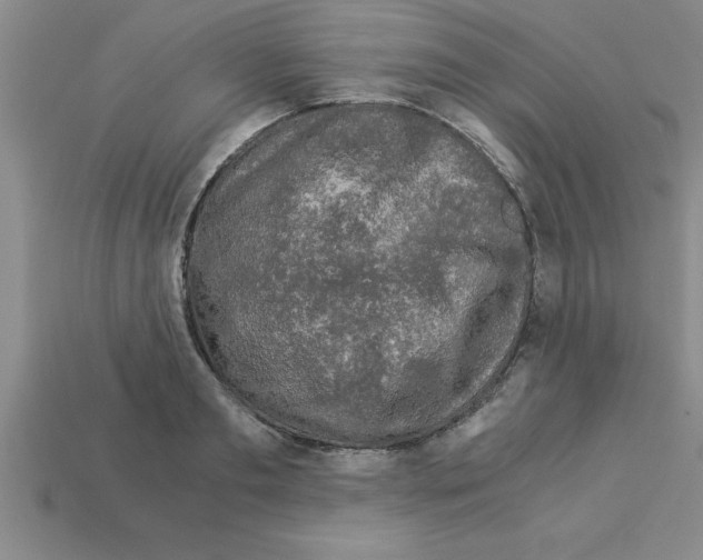 X0000112880893200910021351