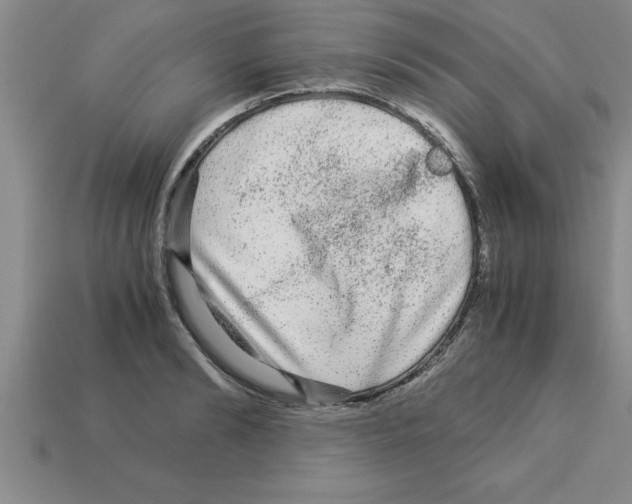 X0000112880894200910021351