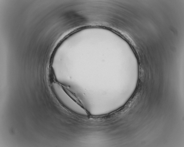 X0000112880895200910021351