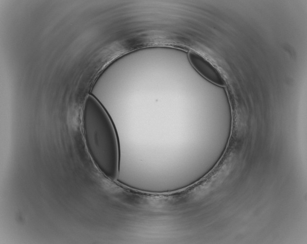 X0000112880897200910021351