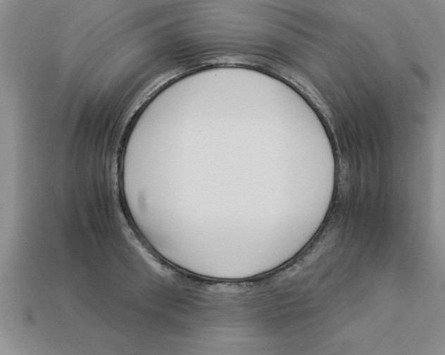 X0000112880898200910021351