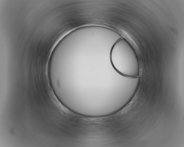 X0000112880900200910021351