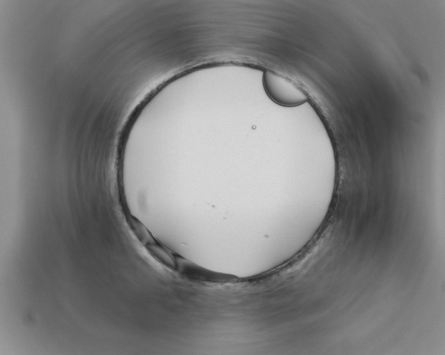 X0000112880902200910021351