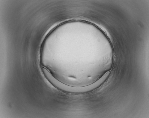 X0000112880903200910021351