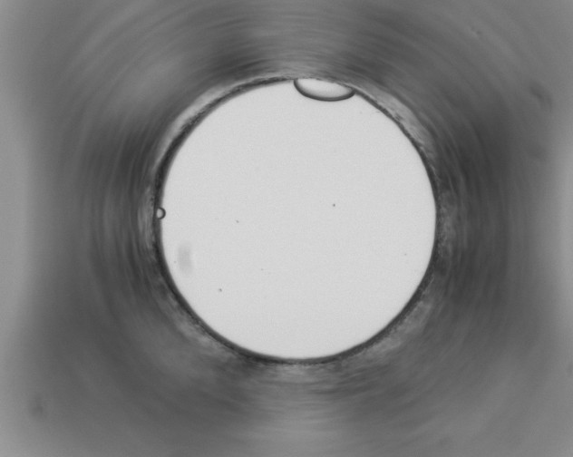 X0000112880904200910021351