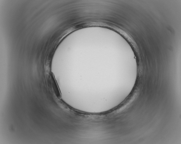 X0000112880905200910021351