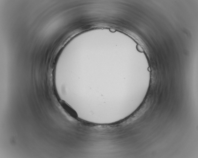 X0000112880906200910021351