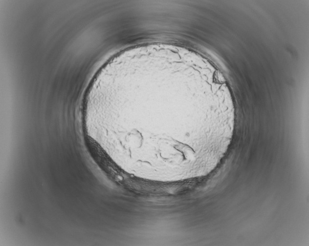 X0000112880907200910021351