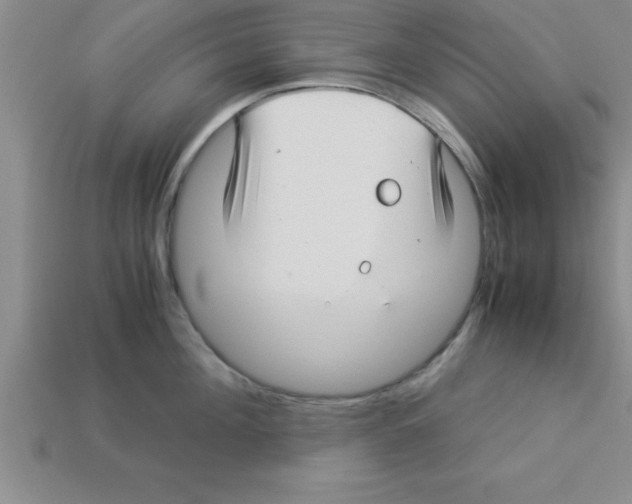 X0000112880908200910021351