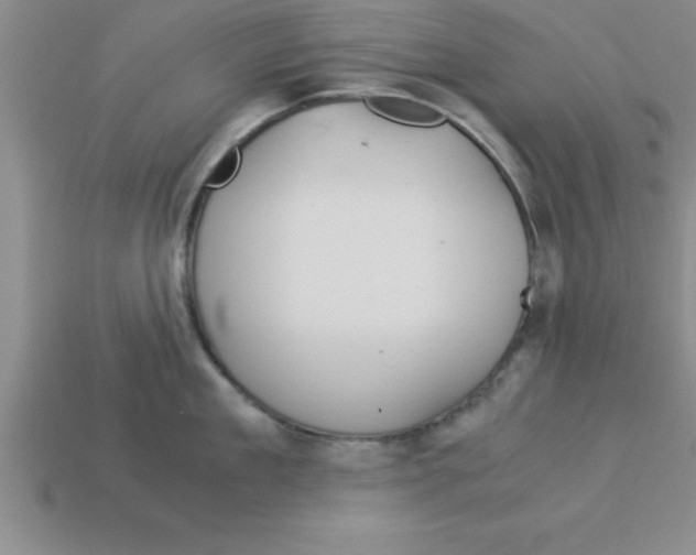 X0000112880909200910021351