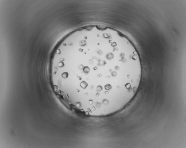 X0000112880910200910021351