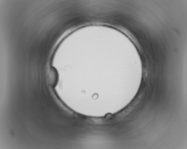 X0000112880911200910021351