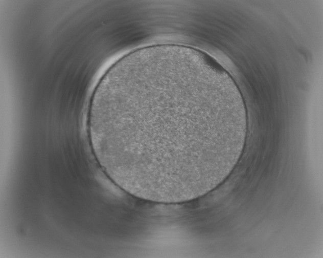 X0000112880912200910021351