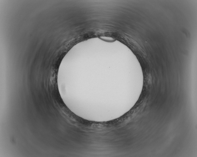 X0000112880914200910021350