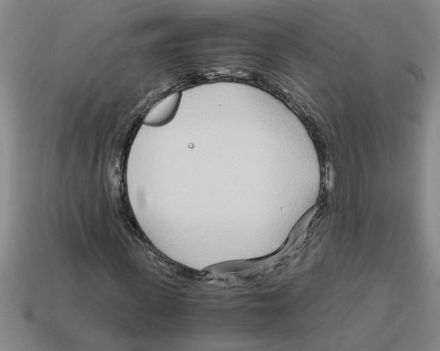 X0000112880915200910021350