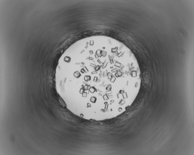 X0000112880916200910021350