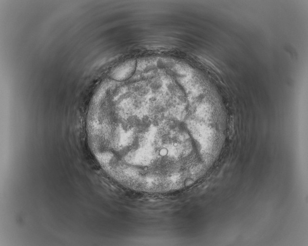 X0000112880917200910021350