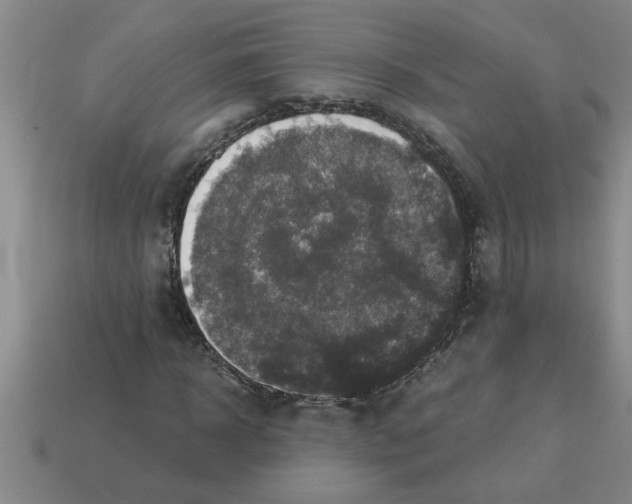 X0000112880918200910021350