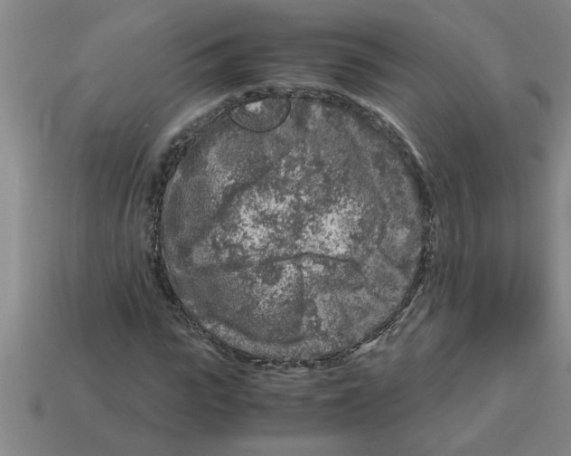 X0000112880919200910021350